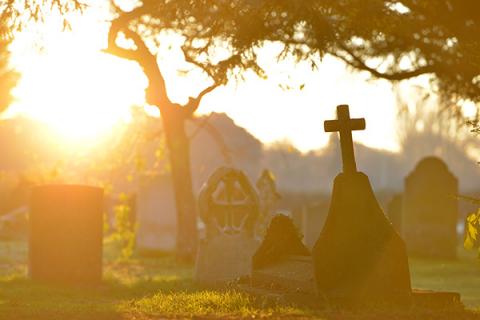 graveyard in sunlight