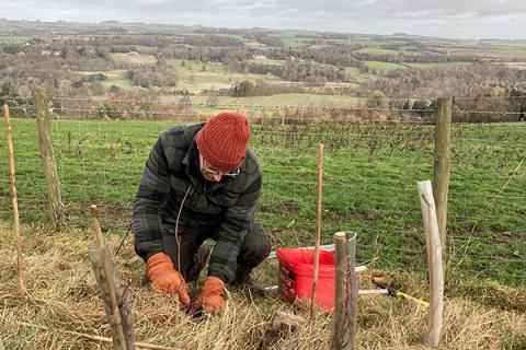 richard planting 600