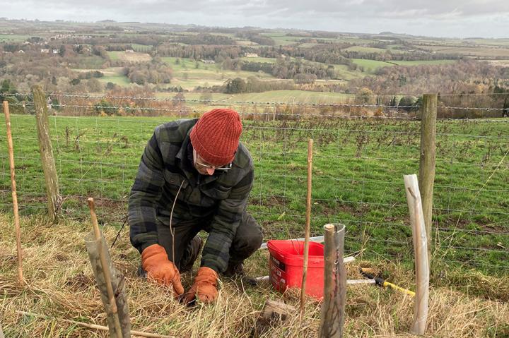 richard planting 950