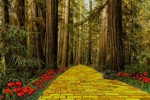 yellow brick road, trees and poppies lining the road