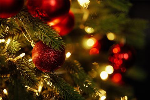 Close up of a Christmas tree with red and gold decorations